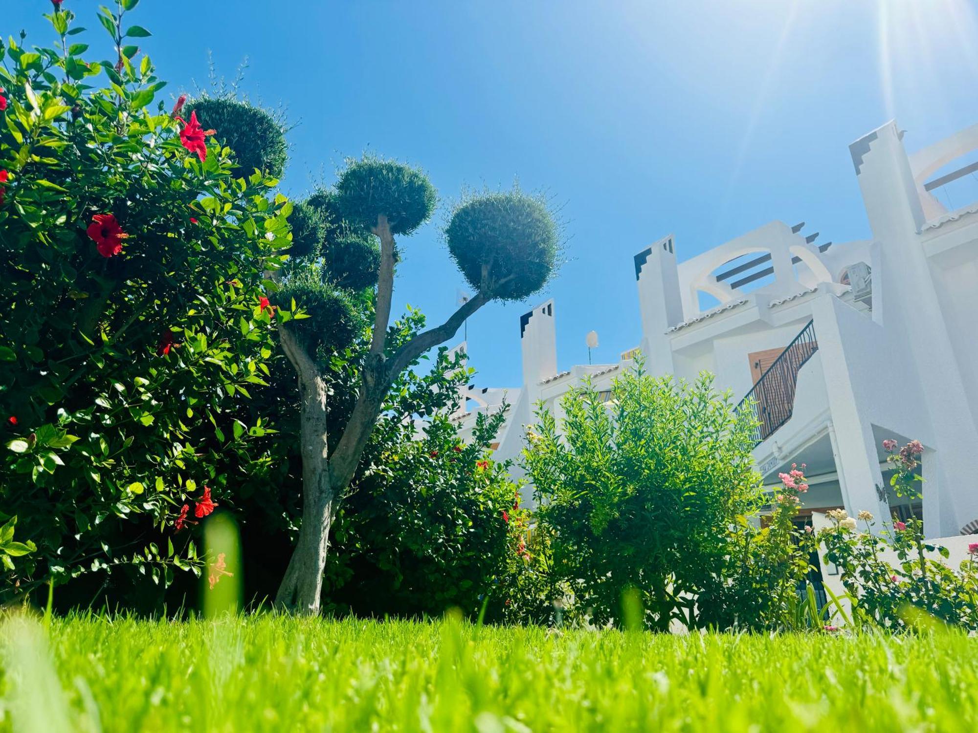 Contemporary House In Cabo Roig Villa Orihuela Ngoại thất bức ảnh